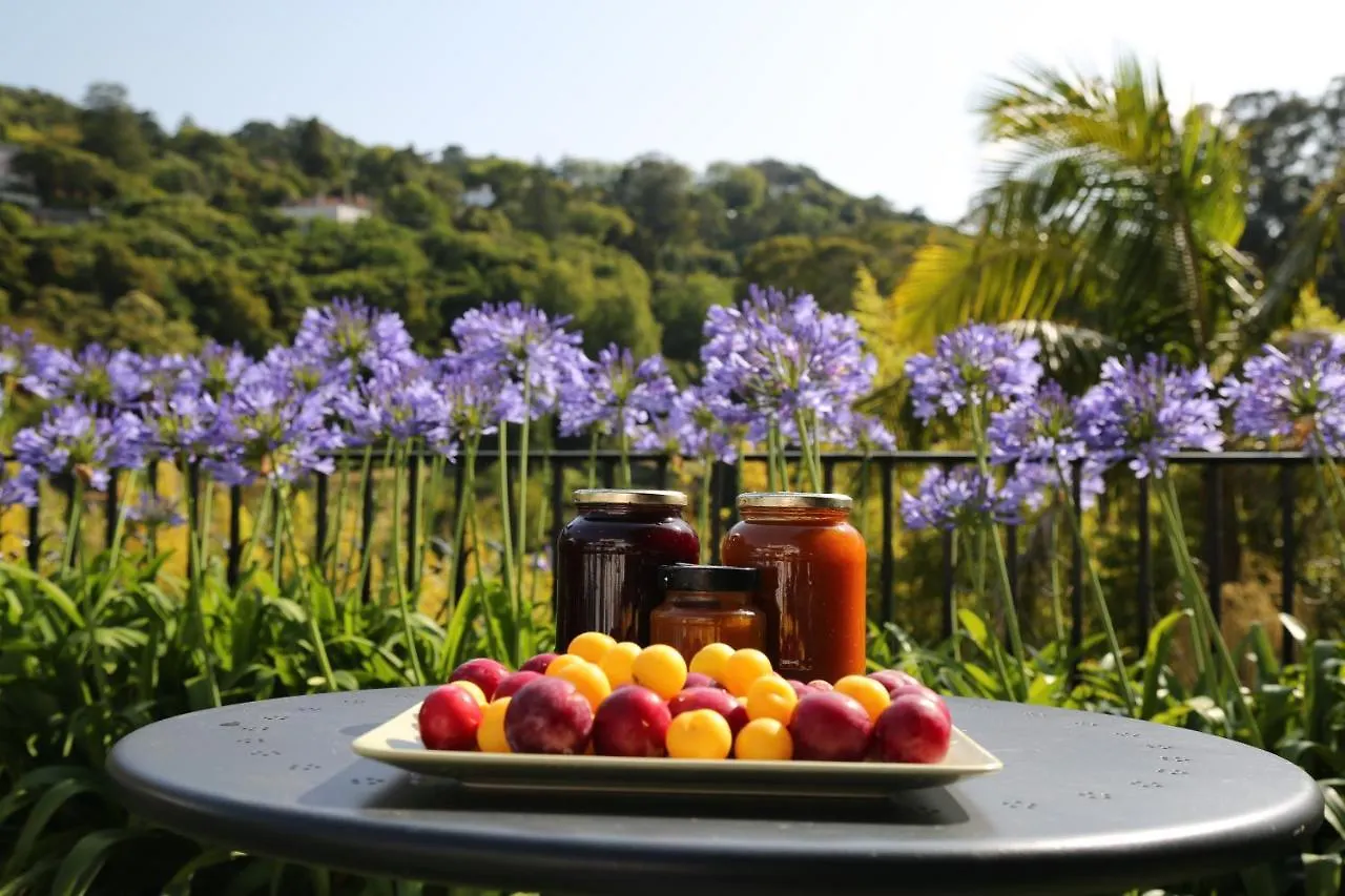 Casa Do Valle Guest House Sintra 3*,